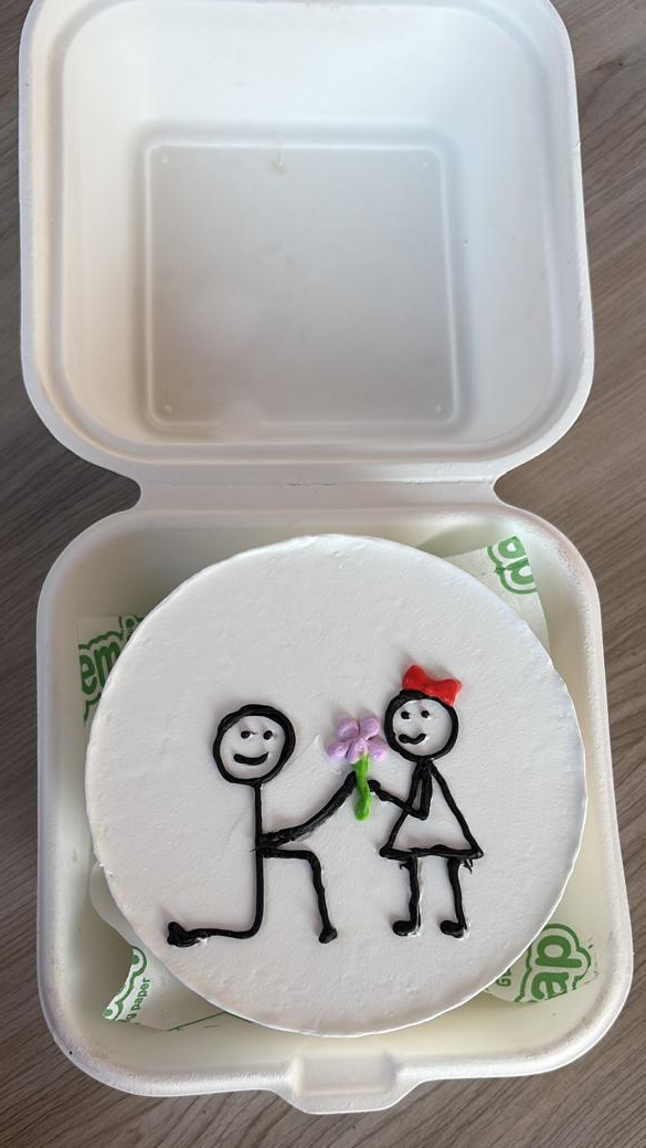 Cute Proposal Bento Cake