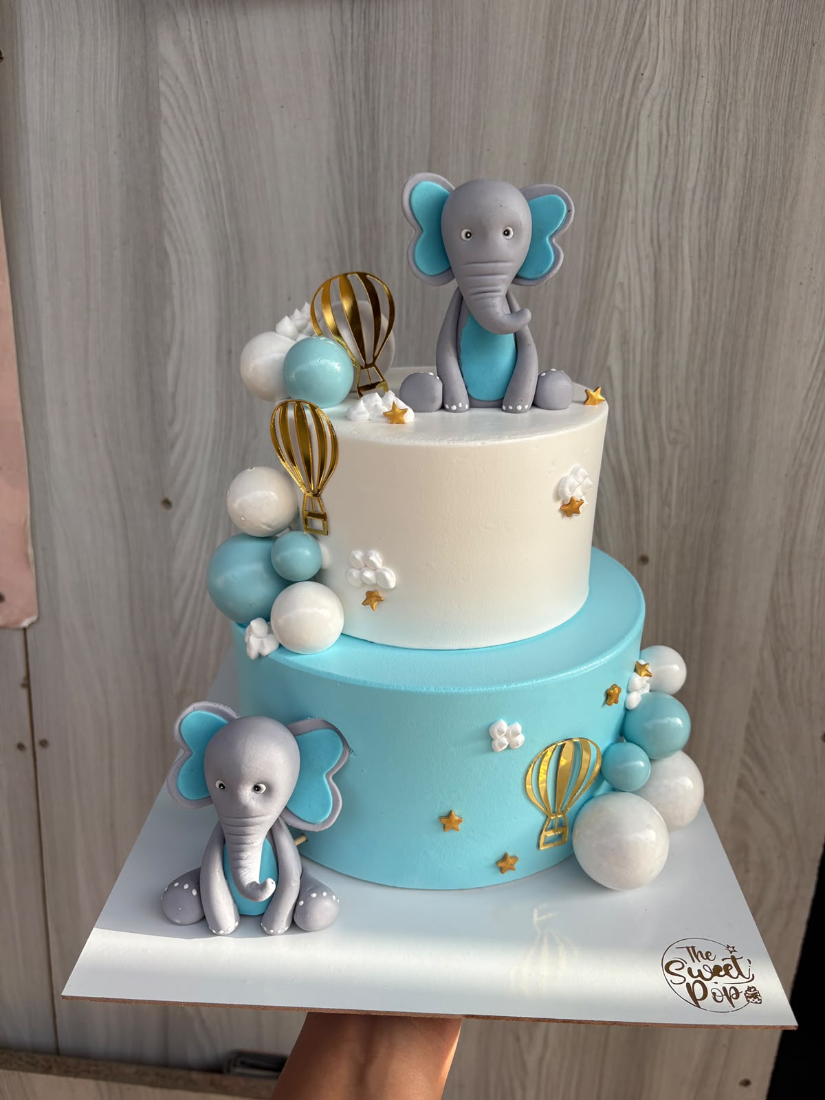 Elephant & Hot Air Balloon Cake